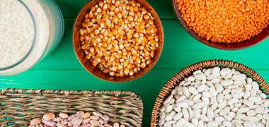 Pulses & Grains